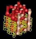 Stabilized Hierarchical USY Zeolite Catalysts For Simultaneous Increase In Diesel / LPG Ol